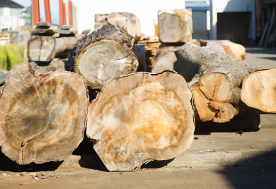 木材の選定、加工、乾燥
